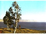 View of the Mountain of the Beatitudes, above Capernaum.